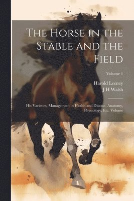 Horse in the Stable and the Field