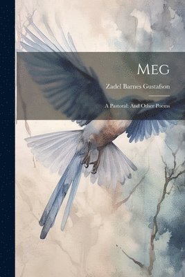 Zadel Barnes Gustafson - Meg, Häftad