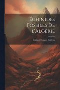 chinides Fossiles de l'Algrie