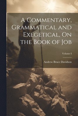 Andrew Bruce Davidson - Commentary, Grammatical and Exegetical, On the Book of Job; Volume I, Häftad. Tillgänglighet: Lägg i varukorg