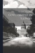 Actual Government in Illinois