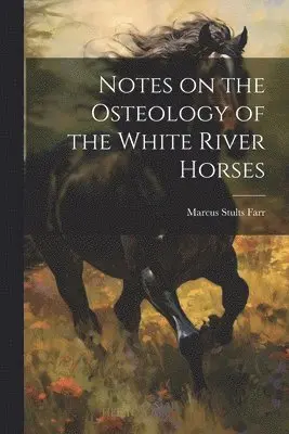 Notes on the Osteology of the White River Horses