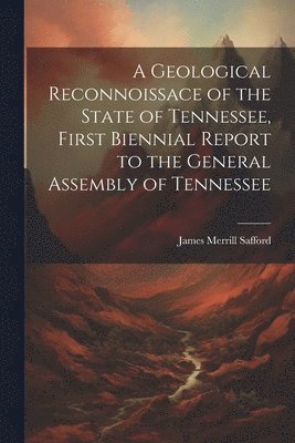 James Merrill Safford - Geological Reconnoissace of the State of Tennessee, First Biennial Report to the General Assembly of Tennessee, Häftad. Tillgänglighet: Lägg i varukorg