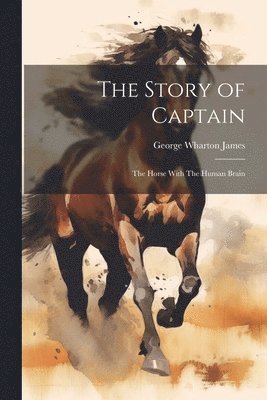 Story of Captain