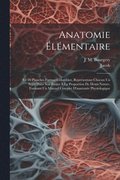 Anatomie lmentaire