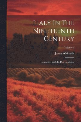 James Whiteside - Italy In The Nineteenth Century, Häftad. Tillgänglighet: Lägg i varukorg