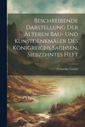 Beschreibende Darstellung der lteren Bau- und Kunstdenkmler des Knigreichs Sachsen, Siebzehntes Heft