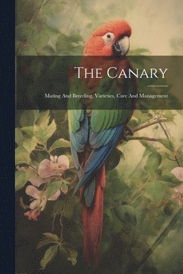 Canary