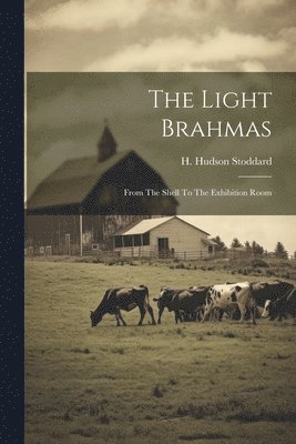 H Hudson Stoddard - Light Brahmas, Häftad. Tillgänglighet: Lägg i varukorg