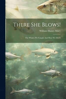 William Hussey Macy - There She Blows!, Häftad