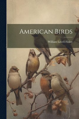 William Lovell Finley - American Birds, Häftad. Tillgänglighet: Lägg i varukorg