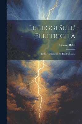 Cesare Baldi - leggi sull' elettricità; testo--commenti ed illustrazioni .., Häftad. Tillgänglighet: Lägg i varukorg