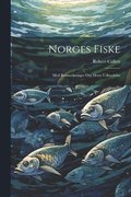 Norges fiske