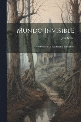 José Selgas - Mundo Invisible, Häftad