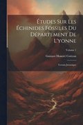 tudes Sur Les chinides Fossiles Du Dpartement De L'yonne