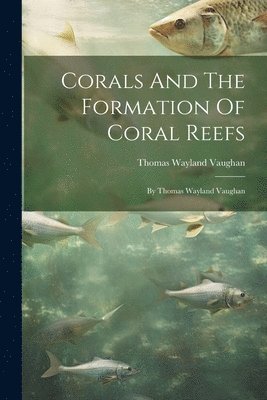 Thomas Wayland Vaughan - Corals And The Formation Of Coral Reefs, Häftad. Tillgänglighet: Lägg i varukorg