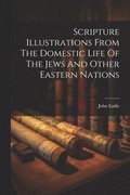 Scripture Illustrations From The Domestic Life Of The Jews And Other Eastern Nations
