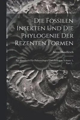 Fossilen Insekten Und Die Phylogenie Der Rezenten Formen