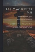 Early Worcester Mss