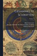 Gesammelte Schriften; Volume 7