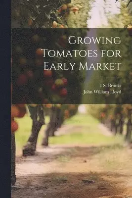 John William Lloyd, I S 1882- Brooks - Growing Tomatoes for Early Market, Häftad. Tillgänglighet: Lägg i varukorg