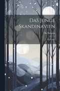 Junge Skandinavien
