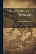 Palontologie Franaise