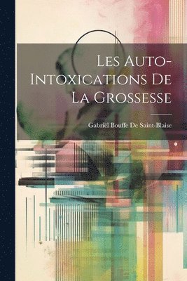Gabriël Bouffe de Saint-Blaise - Les Auto-Intoxications De La Grossesse, Häftad. Tillgänglighet: Lägg i varukorg