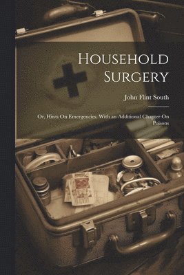 John Flint South - Household Surgery, Häftad. Tillgänglighet: Lägg i varukorg