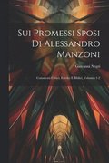 Sui Promessi Sposi Di Alessandro Manzoni