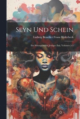 Ludwig Benedict Franz Bilderbeck - Seyn Und Schein, Häftad