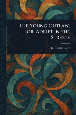 Young Outlaw; or, Adrift in the Streets