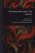 Pygmalion and the Image