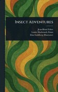 Insect Adventures