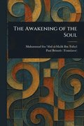 Awakening of the Soul