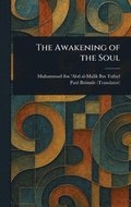 Awakening of the Soul