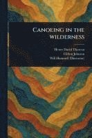 Canoeing in the Wilderness