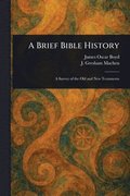 Brief Bible History