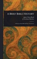 Brief Bible History