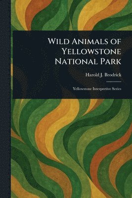 Harold J Brodrick - Wild Animals of Yellowstone National Park, Häftad. Tillgänglighet: Lägg i varukorg