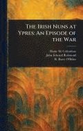 Irish Nuns at Ypres