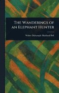 Wanderings of an Elephant Hunter