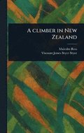 Climber in New Zealand