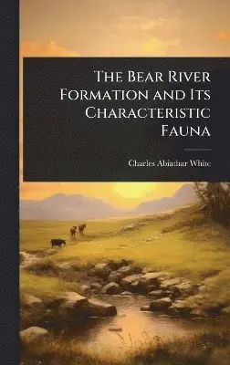 Charles Abiathar White - Bear River Formation and Its Characteristic Fauna, Inbunden. Tillgänglighet: Lägg i varukorg