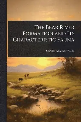 Charles Abiathar White - Bear River Formation and Its Characteristic Fauna, Häftad. Tillgänglighet: Lägg i varukorg