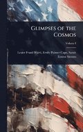 Glimpses of the Cosmos
