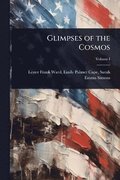 Glimpses of the Cosmos