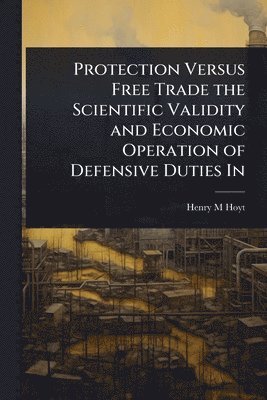Henry M Hoyt - Protection Versus Free Trade the Scientific Validity and Economic Operation of Defensive Duties In, Häftad