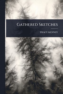 Gathered Sketches