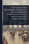 Geschichte Des Reformirten Gr�flich Bentheimschen Gymnasium Illustre Arnoldinum Zu Burgsteinfurt